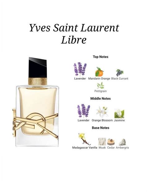 ysl notes|yves Saint Laurent cologne notes.